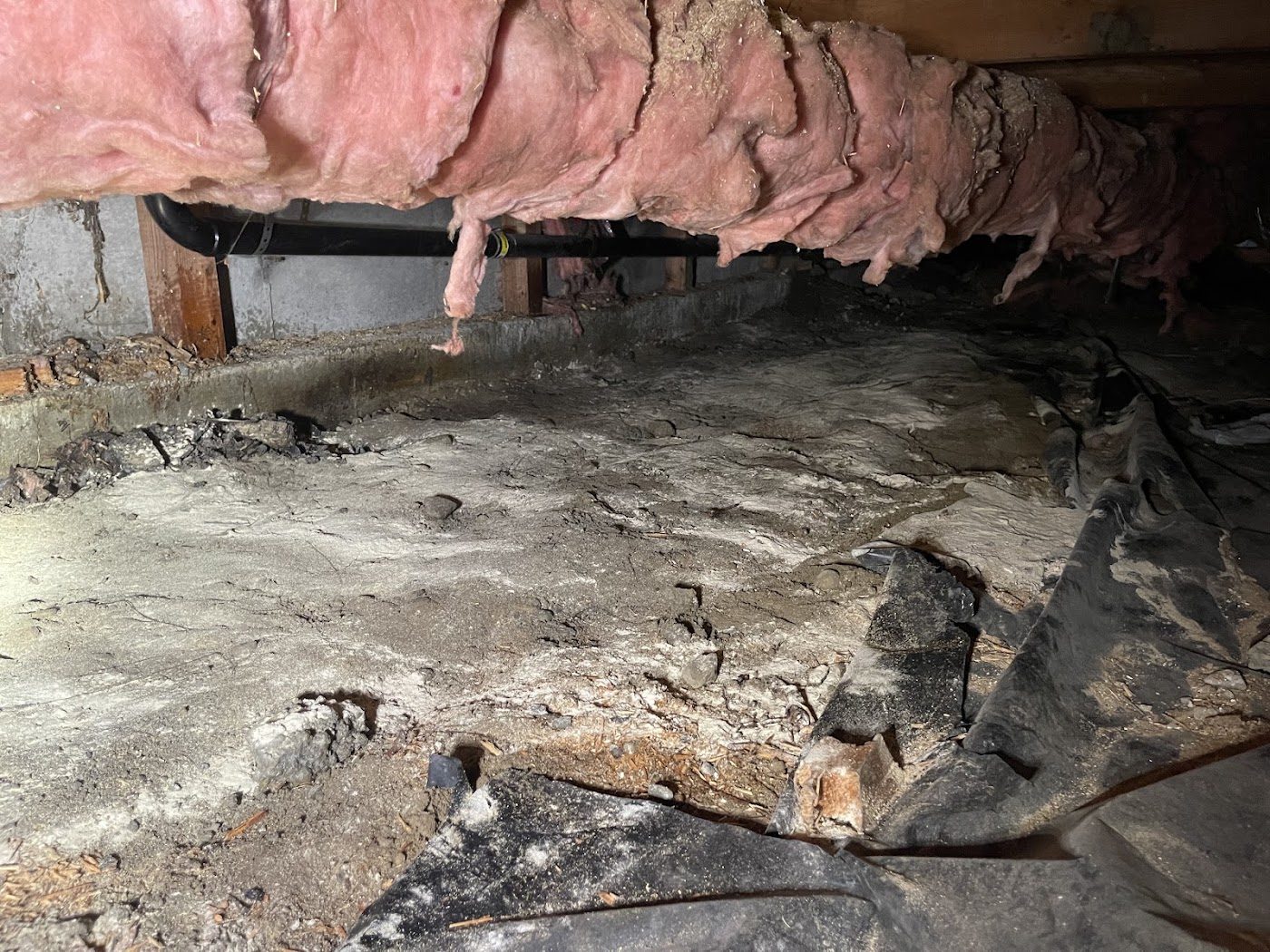 water damage restoration work by 24/7 Flood & Fire in Auburn, WA (photo 5 of 5)