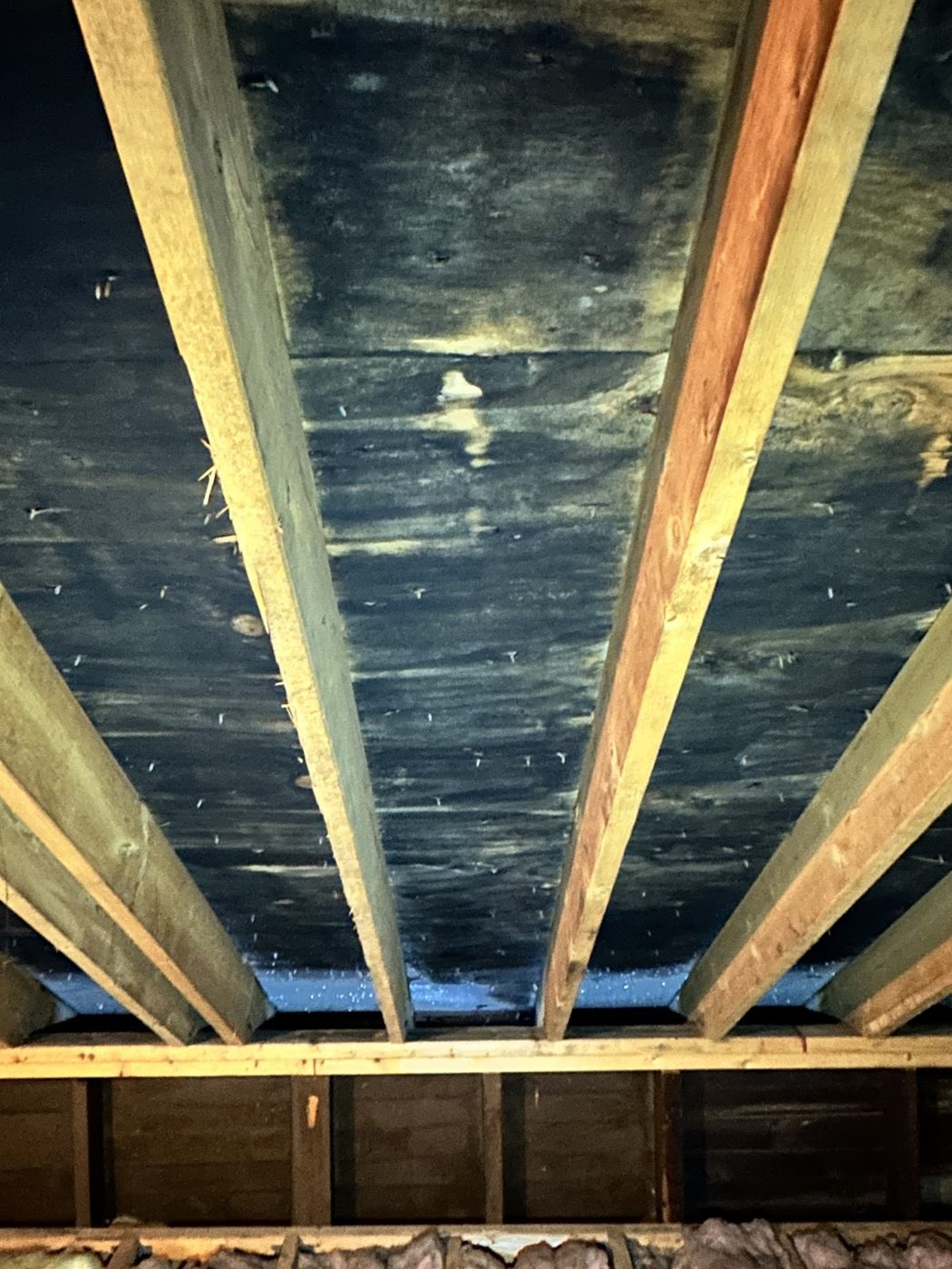 Advanced Mold Testing and Remediation Services — restoration services in Dracut, MA