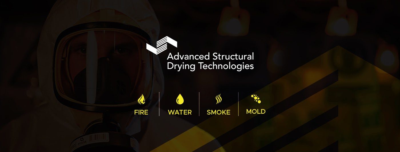 restoration work by Advanced Structural Drying Technologies in Arrington, TN (photo 4 of 5)