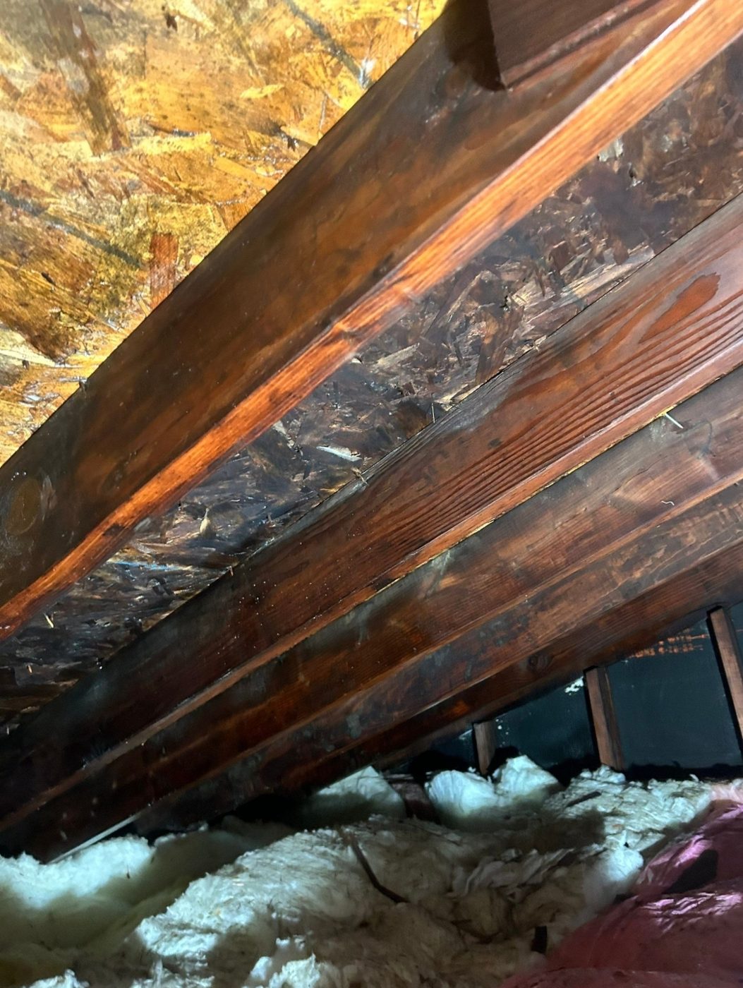 water damage restoration work by Aerotek Environmental in Mount Laurel Township, NJ (photo 5 of 5)