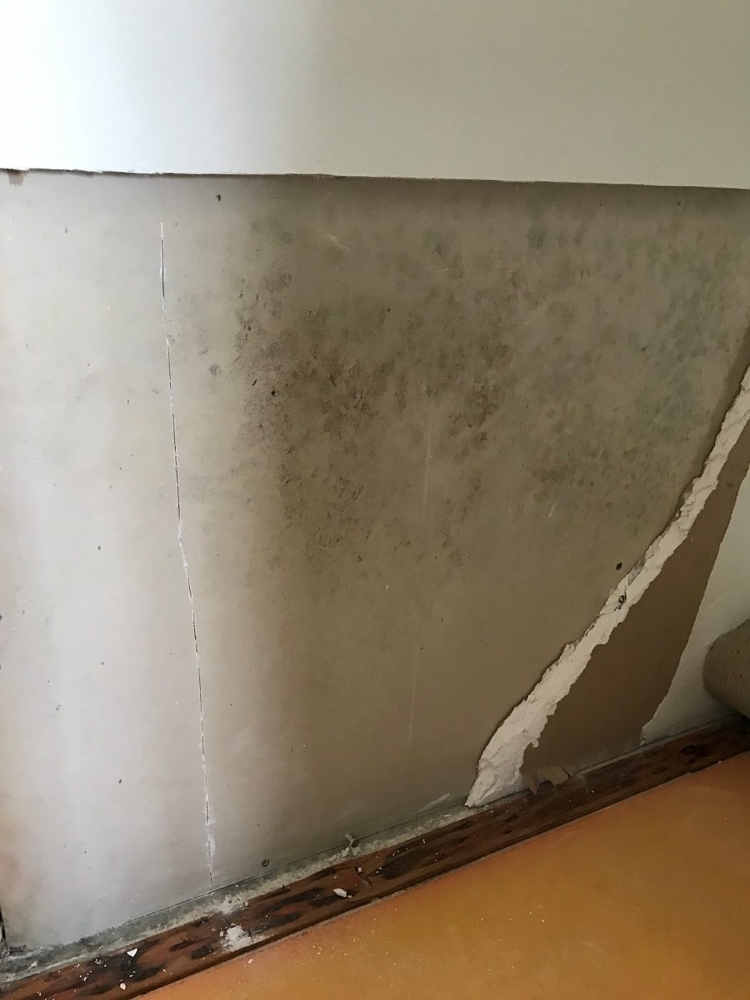 AirCare Hawaii — restoration services in Aiea, HI
