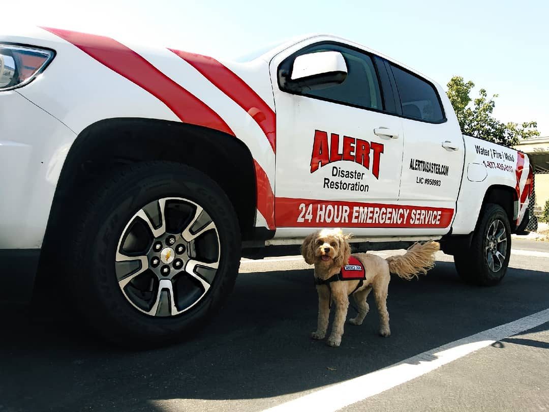 restoration work by Alert Disaster Restoration in Bakersfield, CA (photo 2 of 5)