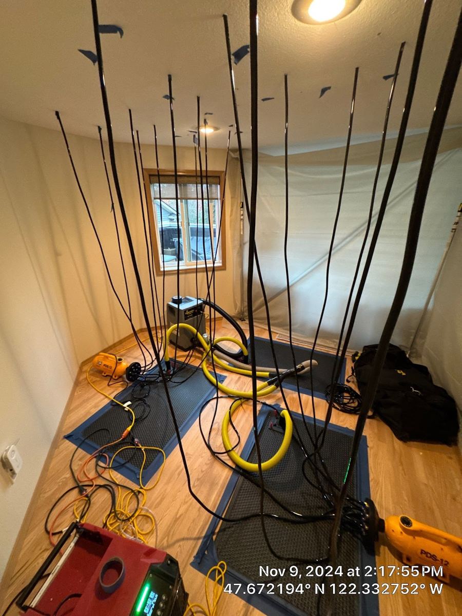 restoration work by All Dry Services of Seattle in Lake Forest Park, WA (photo 3 of 6)