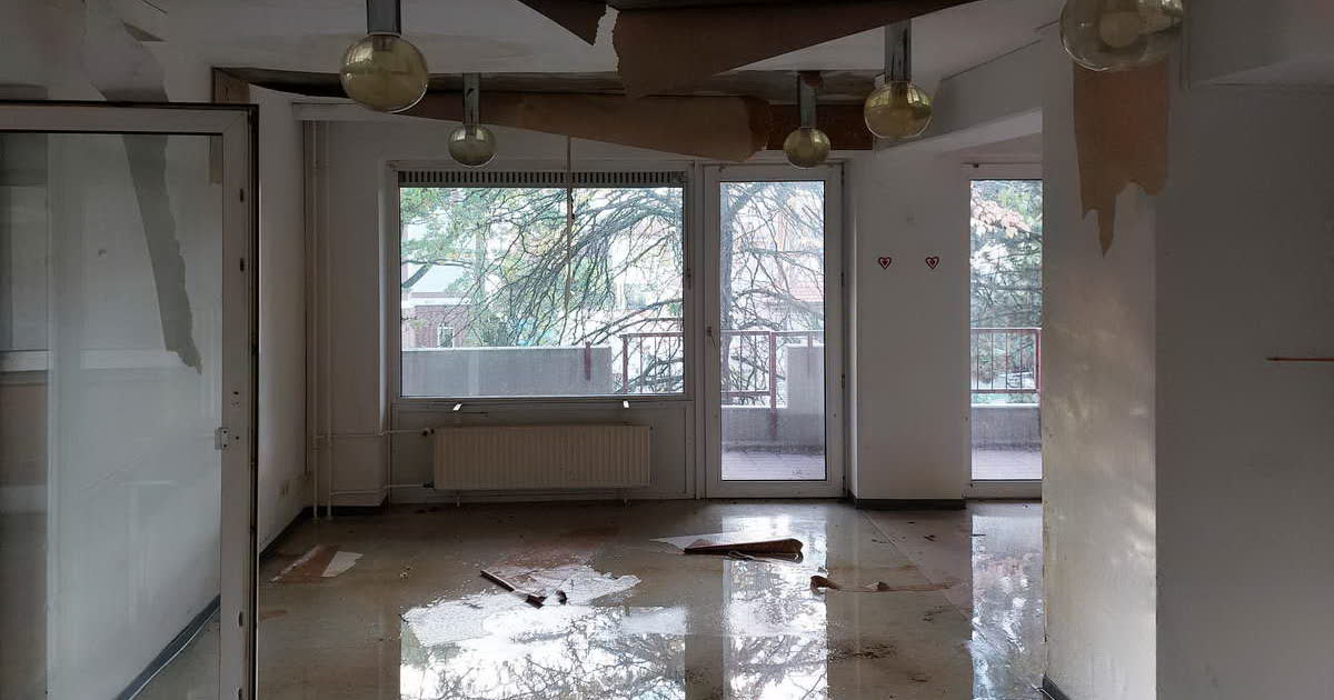 All Star Restoration — restoration services in Brooklyn, NY