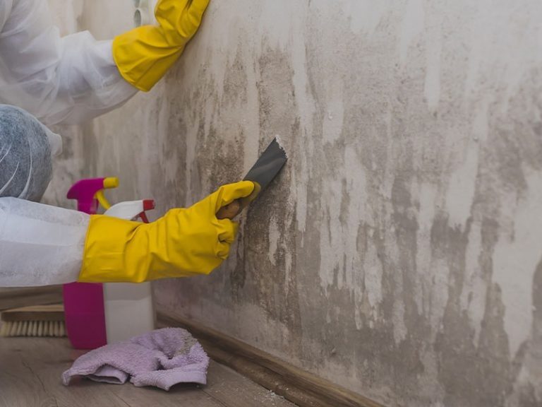 water damage restoration work by AmeriDri Restoration in Colorado Springs, CO (photo 5 of 5)