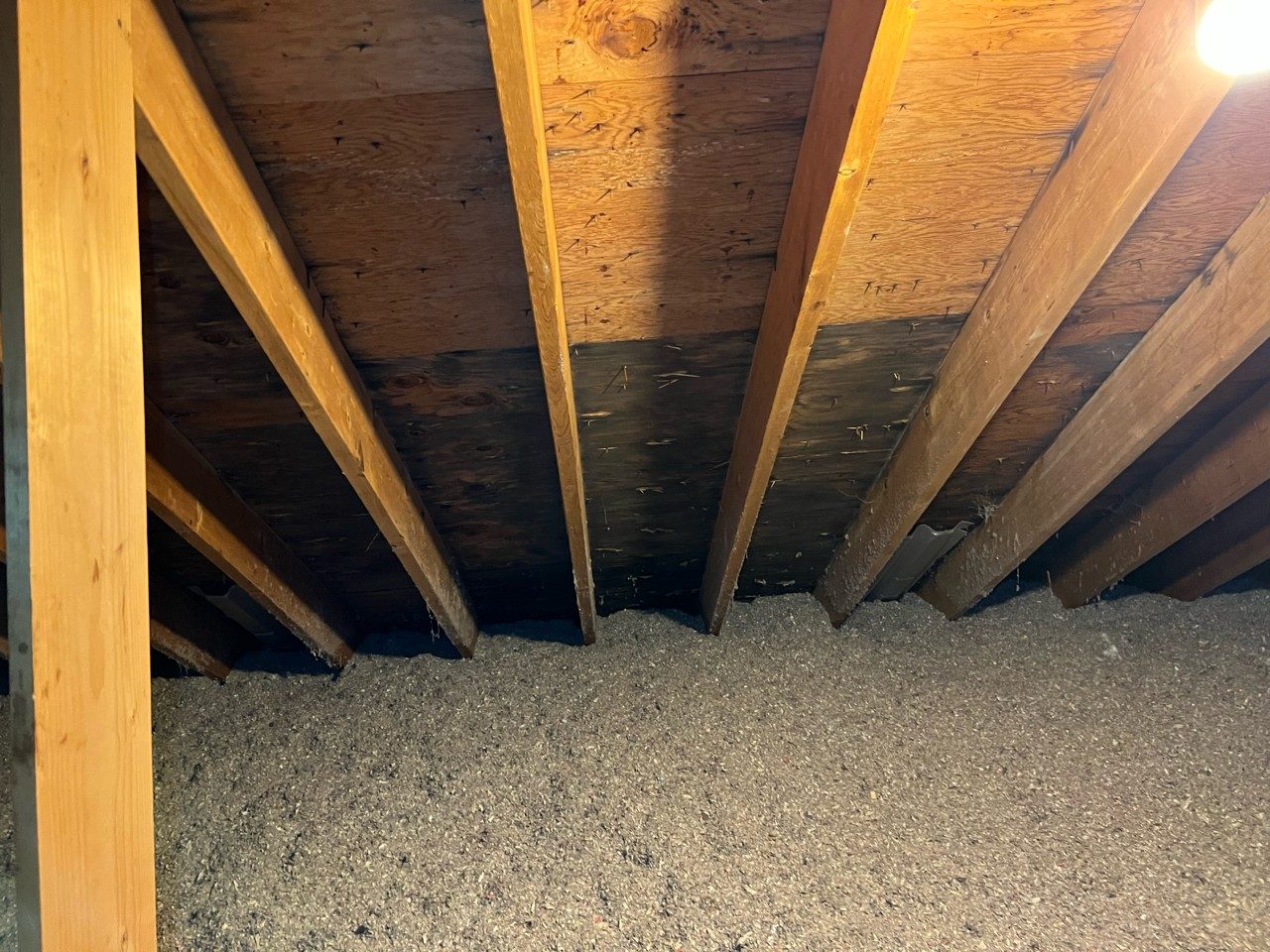 restoration work by Aspen Environmental, LLC in Methuen, MA (photo 3 of 5)