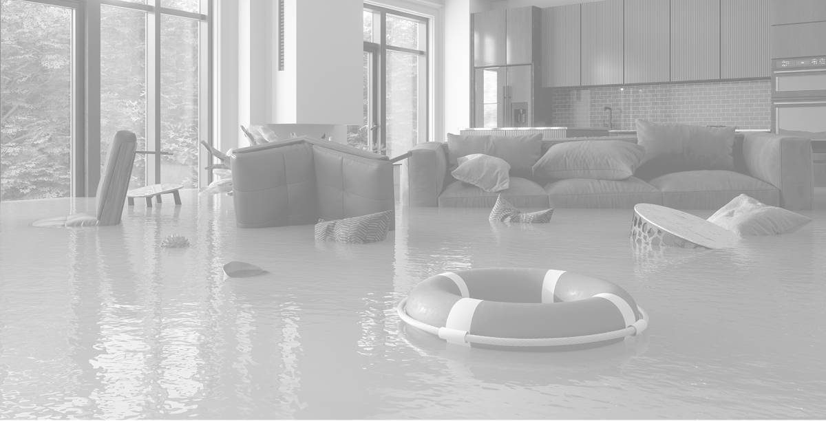 Bema Restoration — restoration services in Wasilla, AK