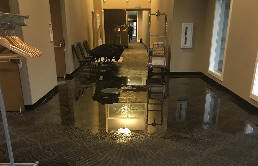 Blue Collar Water Damage Restoration of Colorado Springs photo 2