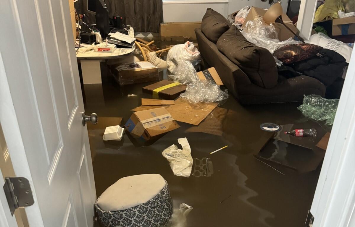 Blue Collar Water Damage Restoration of Colorado Springs photo 3