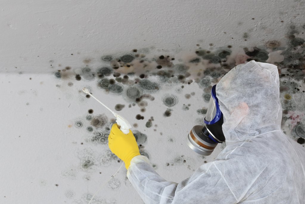 Committed Contracting & Water Damage - Lawrenceville photo 2
