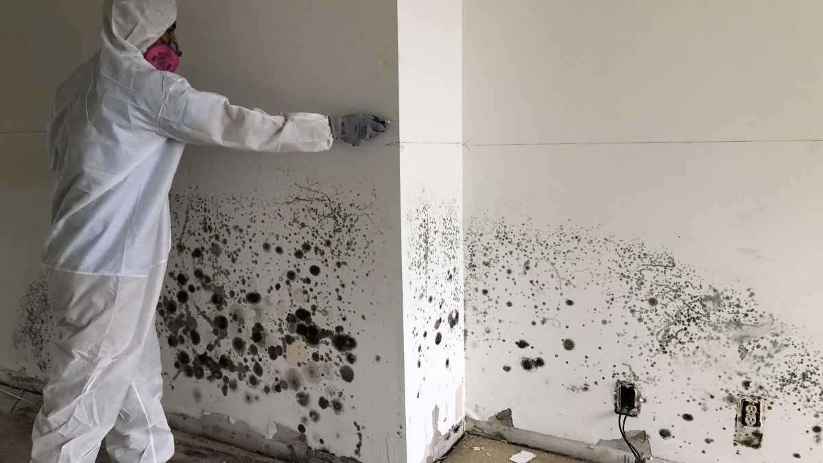 Committed Contracting & Water Damage - Lawrenceville photo 3