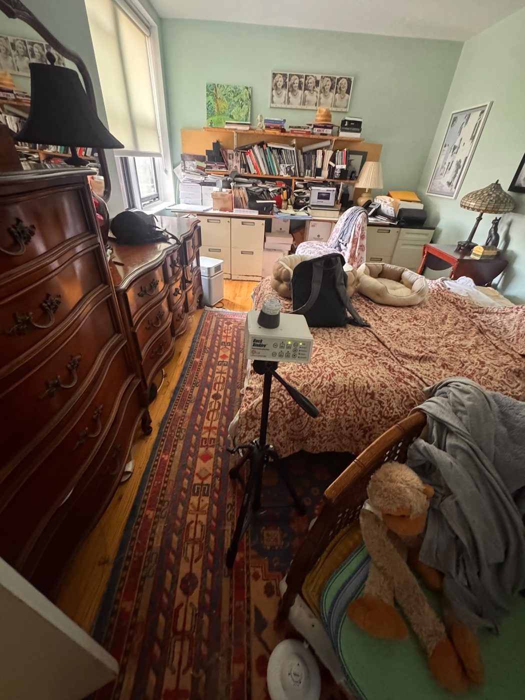 water damage restoration work by Crown Mold Specialists in Brooklyn, NY (photo 5 of 5)