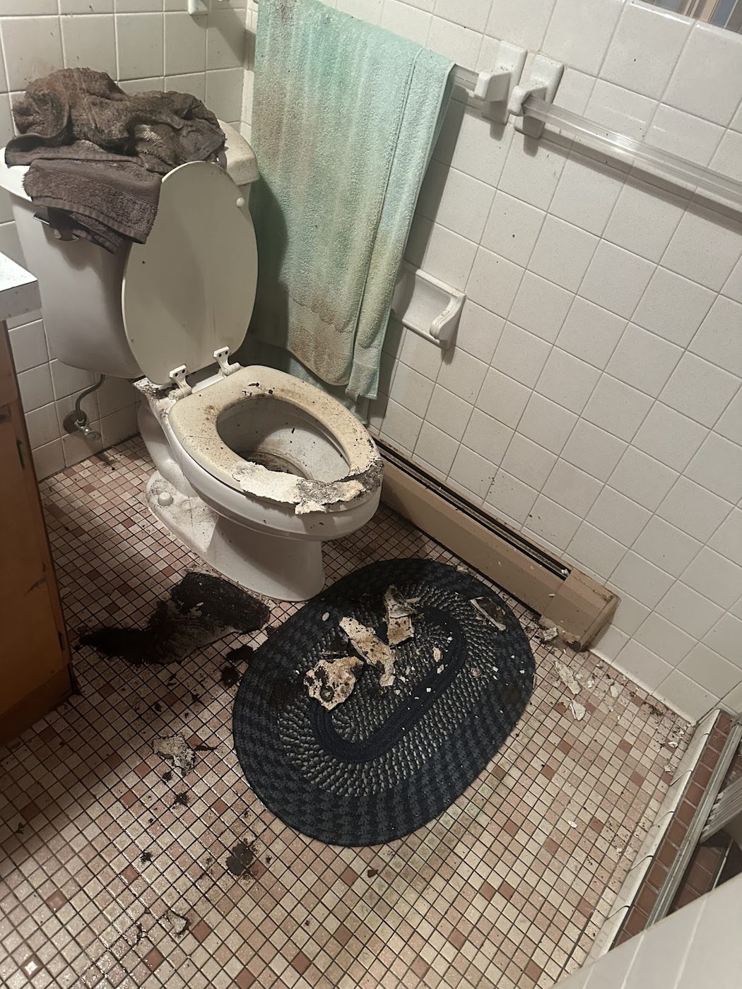 water damage restoration work by Done Right Carpet & Restoration Inc. in Spring Lake Park, MN (photo 5 of 5)