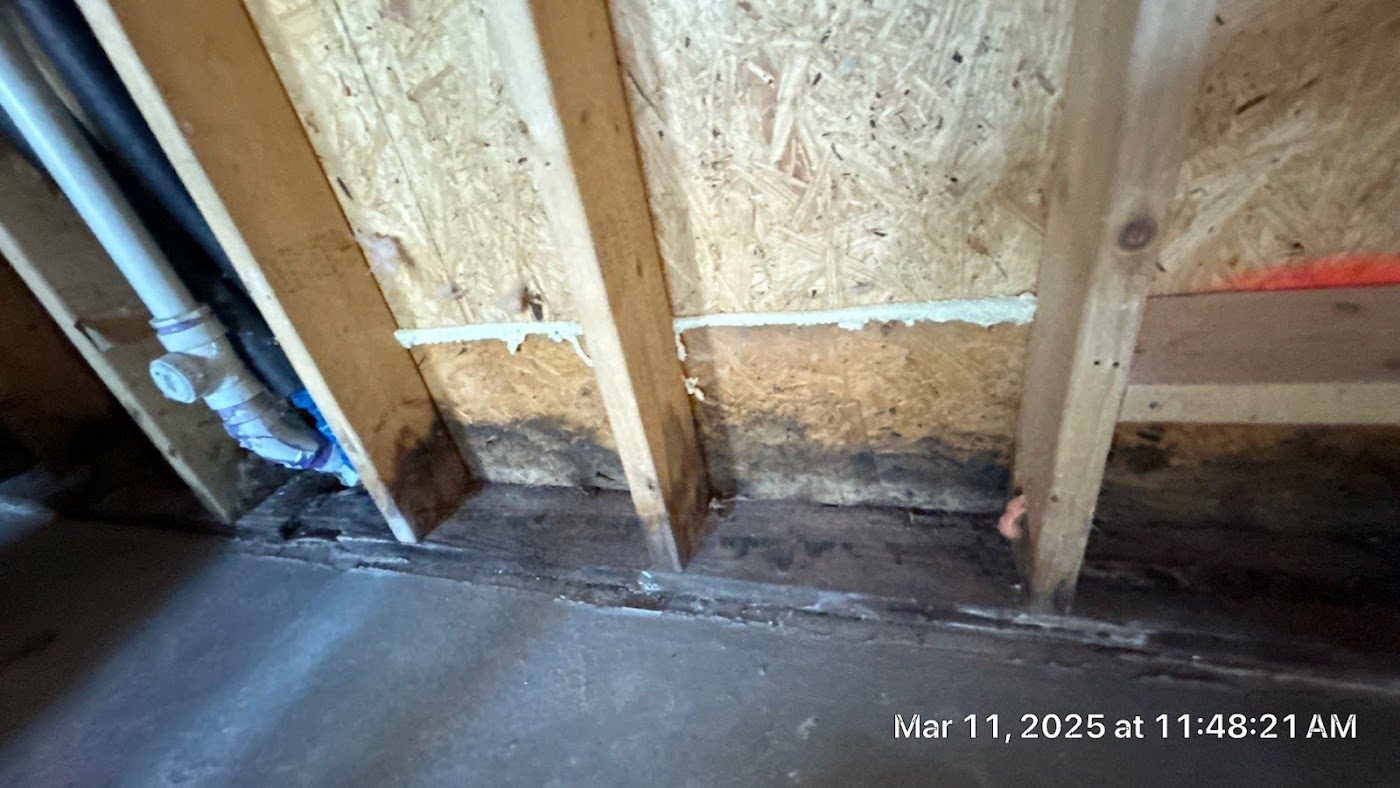water damage restoration work by Drip Ninjas in Chapin, SC (photo 5 of 5)