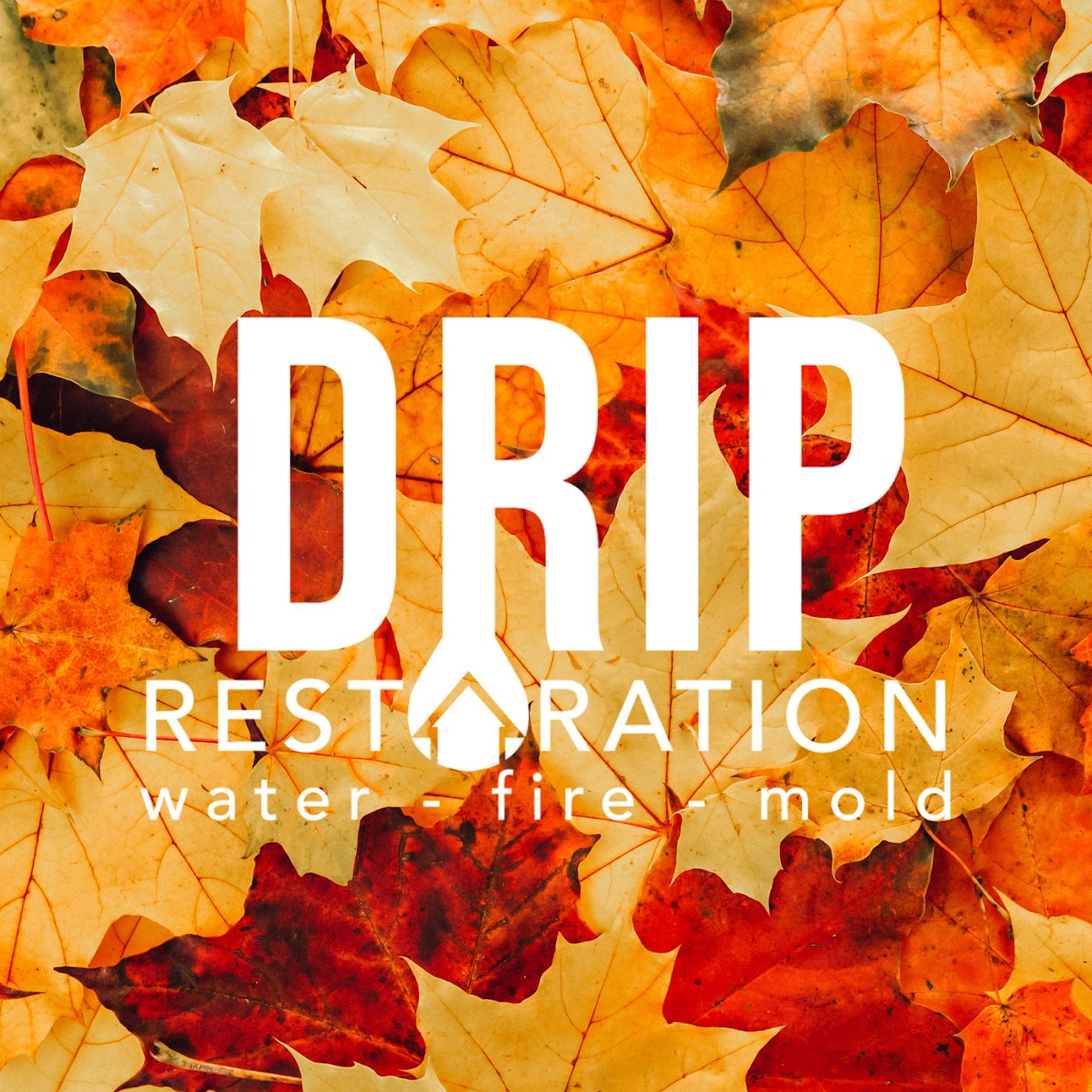 restoration work by Drip Restoration in Mesa, AZ (photo 4 of 5)