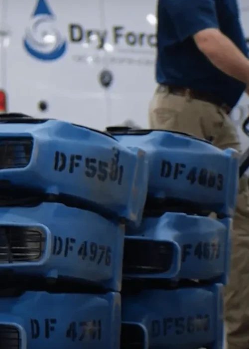 Dry Force Water Removal Specialists — restoration services in Irving, TX