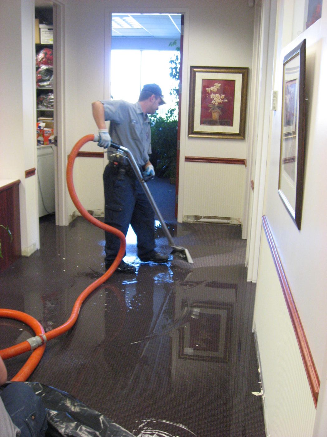 Eco Pro Restoration — restoration services in Pikesville, MD