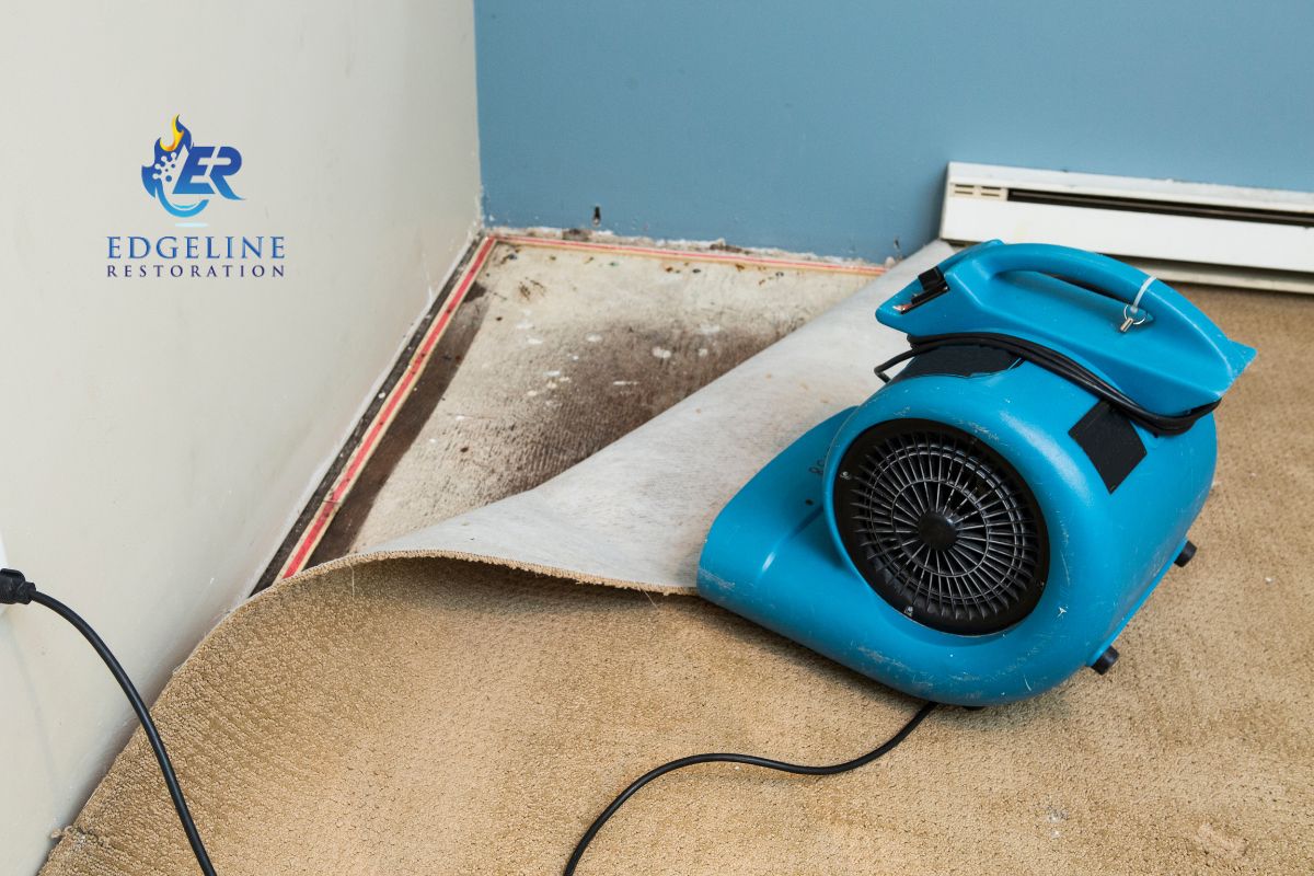 Edgeline Restoration — restoration services in Marysville, WA