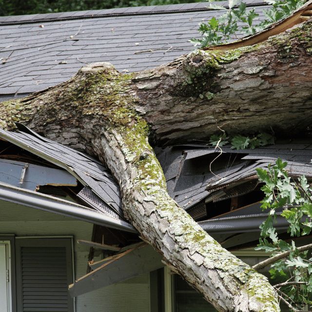 water damage restoration work by Edgeline Restoration in Marysville, WA (photo 5 of 6)