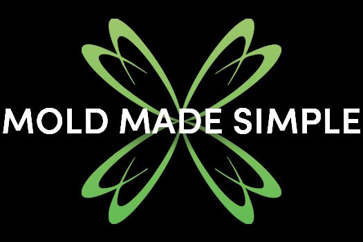 Elite Mold Services — restoration services in Orlando, FL