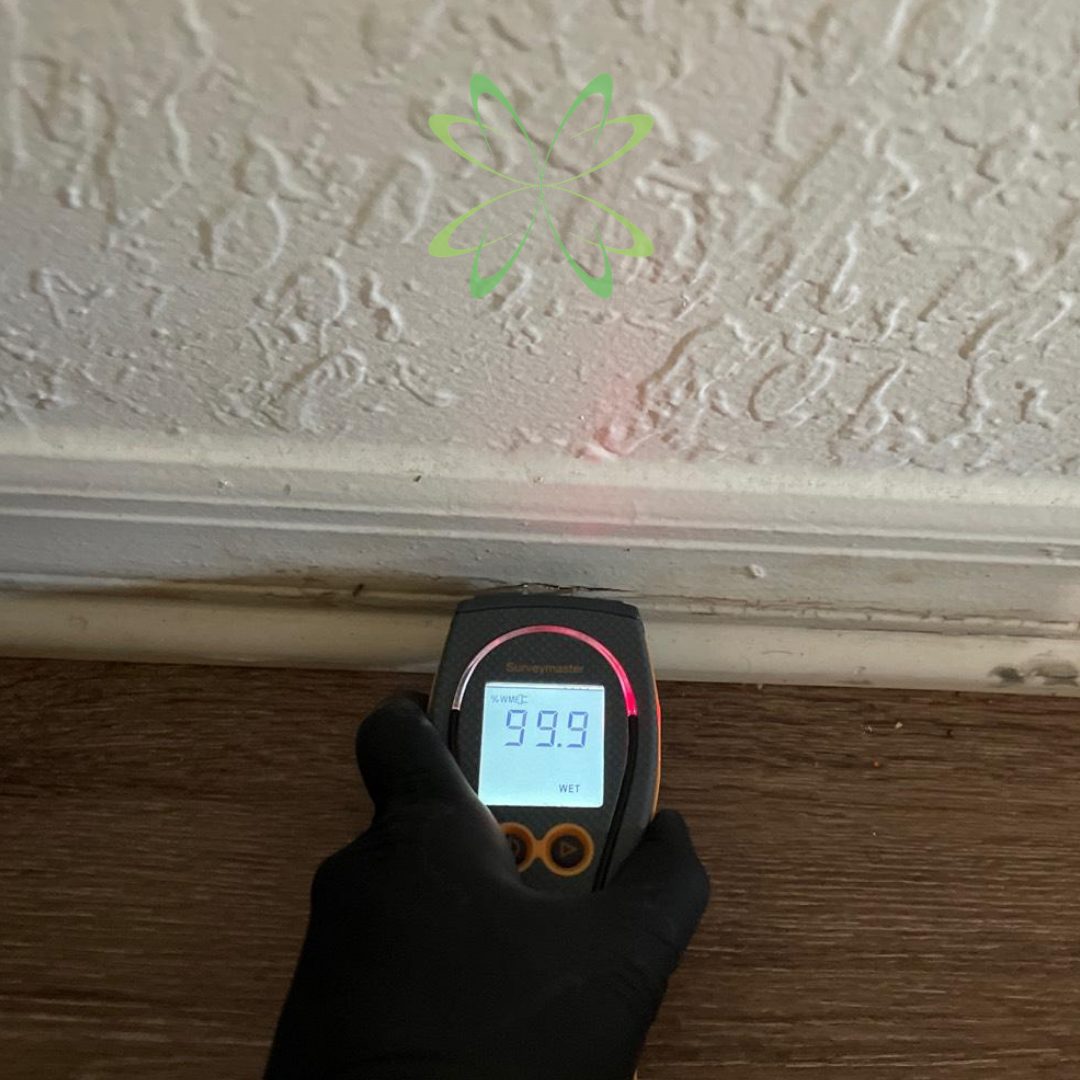 restoration work by Elite Mold Services in Orlando, FL (photo 4 of 5)