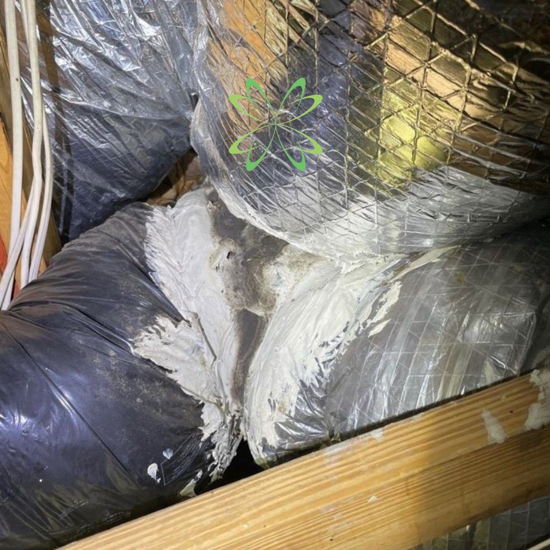 mold remediation work by Elite Mold Services in Orlando, FL (photo 5 of 5)