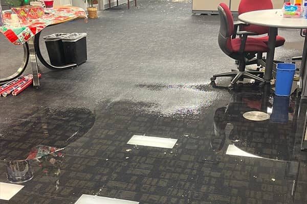 Emergency Mitigation Services, LLC — restoration services in Lenexa, KS