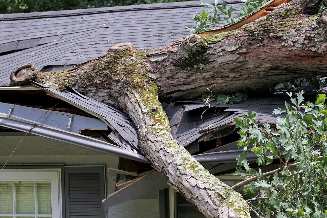 ESR Disaster Hero — restoration services in Tulsa, OK