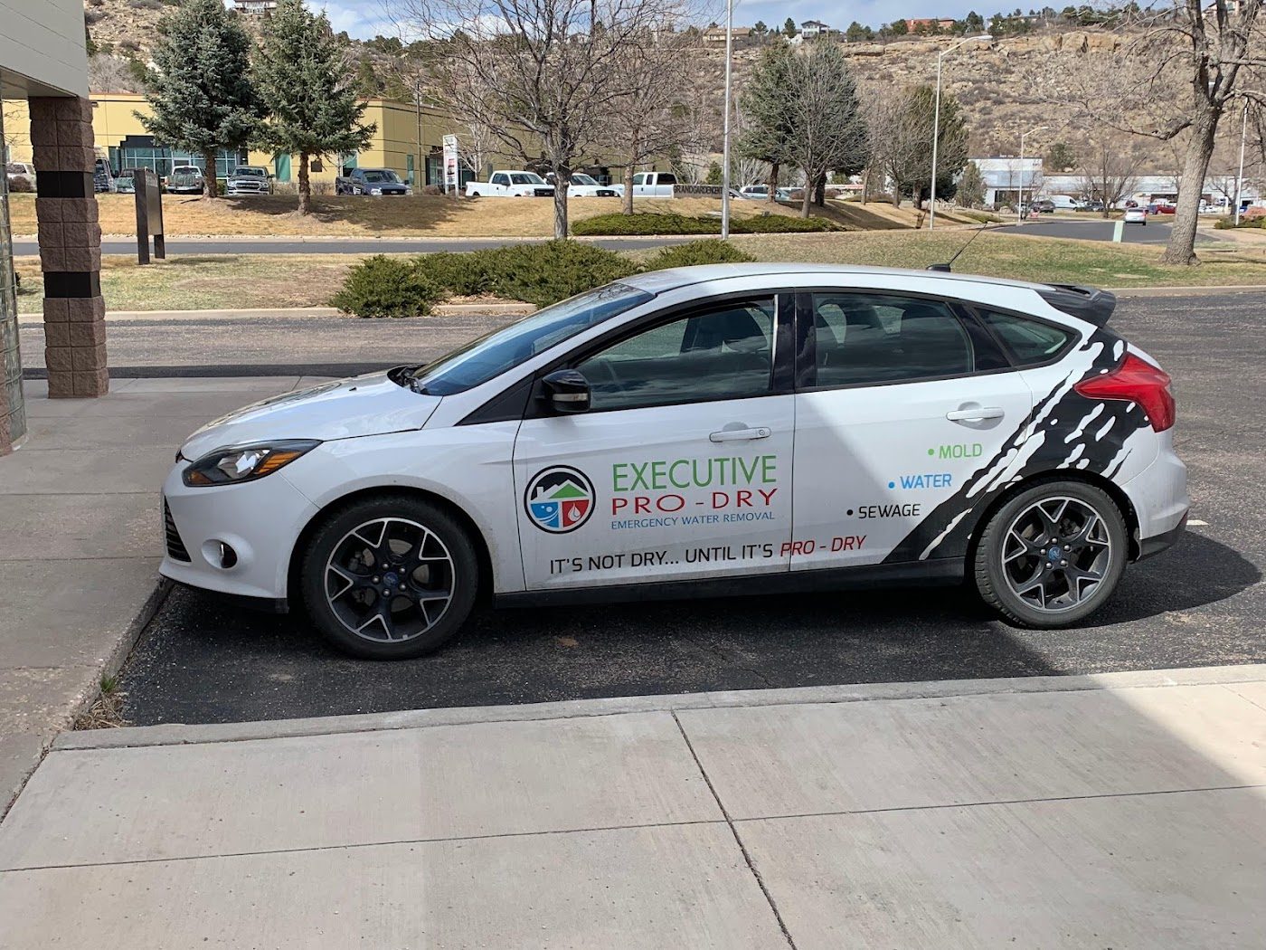 restoration work by Executive Pro-Dry Water, Sewage, Asbestos, & Mold Remediation - Colorado Springs, CO in Colorado Springs, CO (photo 4 of 5)