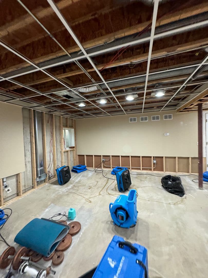 restoration work by GoDry Chicago in Northfield, IL (photo 3 of 8)