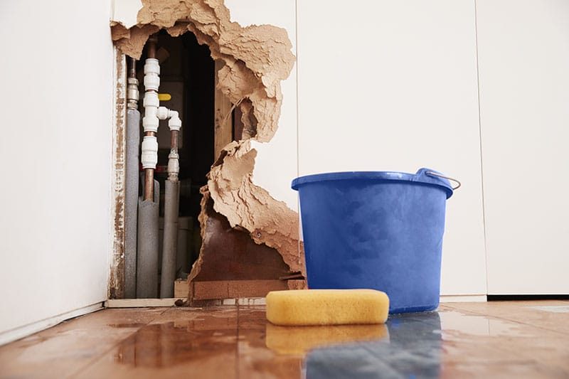 Hawaii Disaster Restoration — restoration services in Kahului, HI