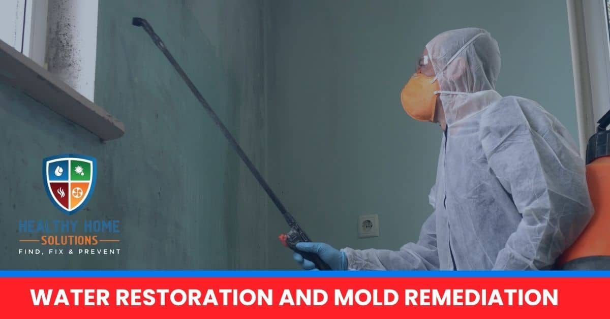 Healthy Home Solutions — restoration services in Felton, DE