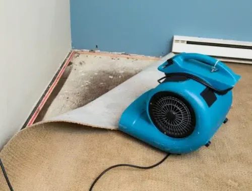 restoration work by Healthy Home Solutions in Felton, DE (photo 3 of 5)