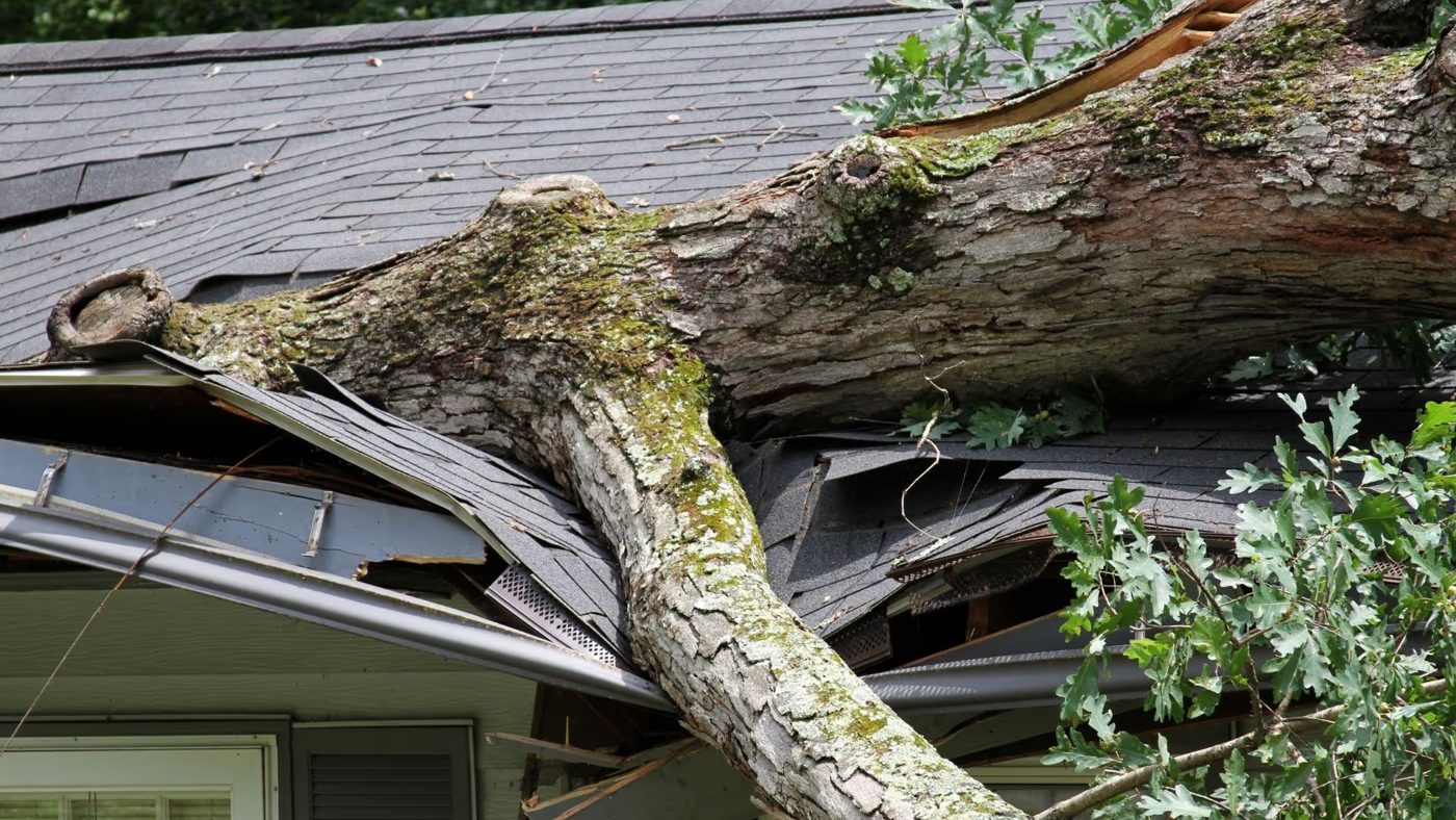 HELP LLC — restoration services in Bridgeport, MI
