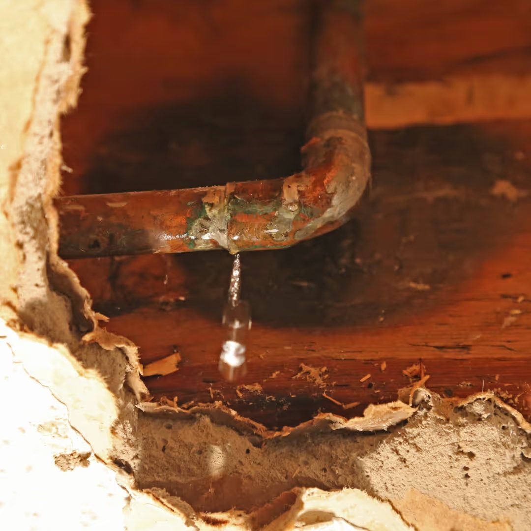 restoration work by HELP LLC in Bridgeport, MI (photo 3 of 5)