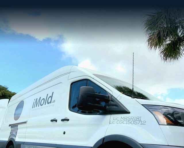 iMold Cleaning and Restoration - Water Damage and Mold Removal Specialists — restoration services in Fort Myers, FL