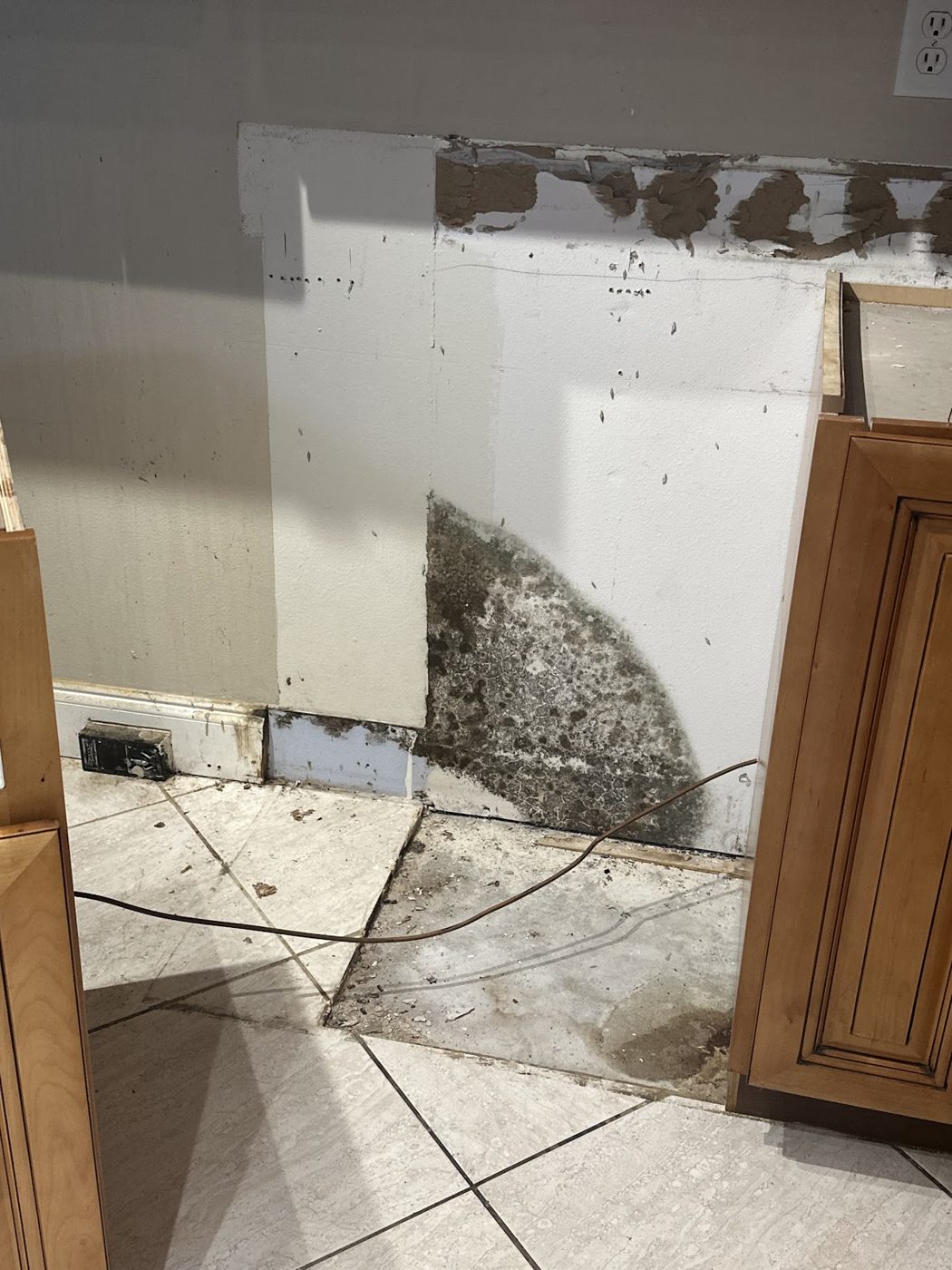 water damage restoration work by iMold Cleaning and Restoration - Water Damage and Mold Removal Specialists in Fort Myers, FL (photo 5 of 5)