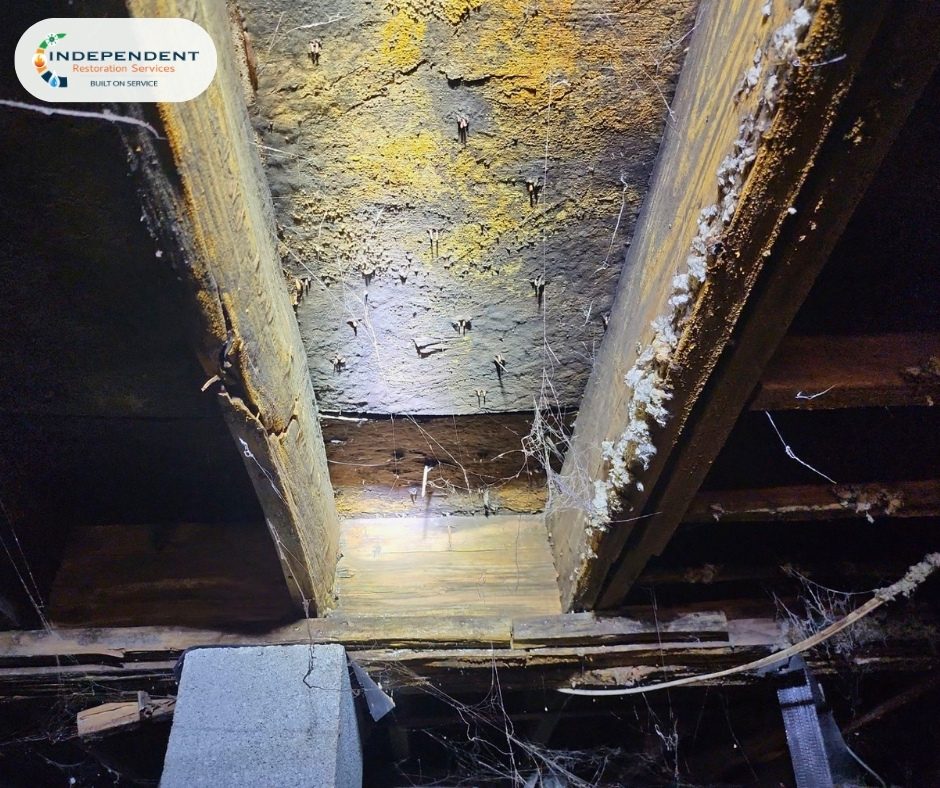 restoration work by Independent Restoration Services in Collierville, TN (photo 3 of 5)