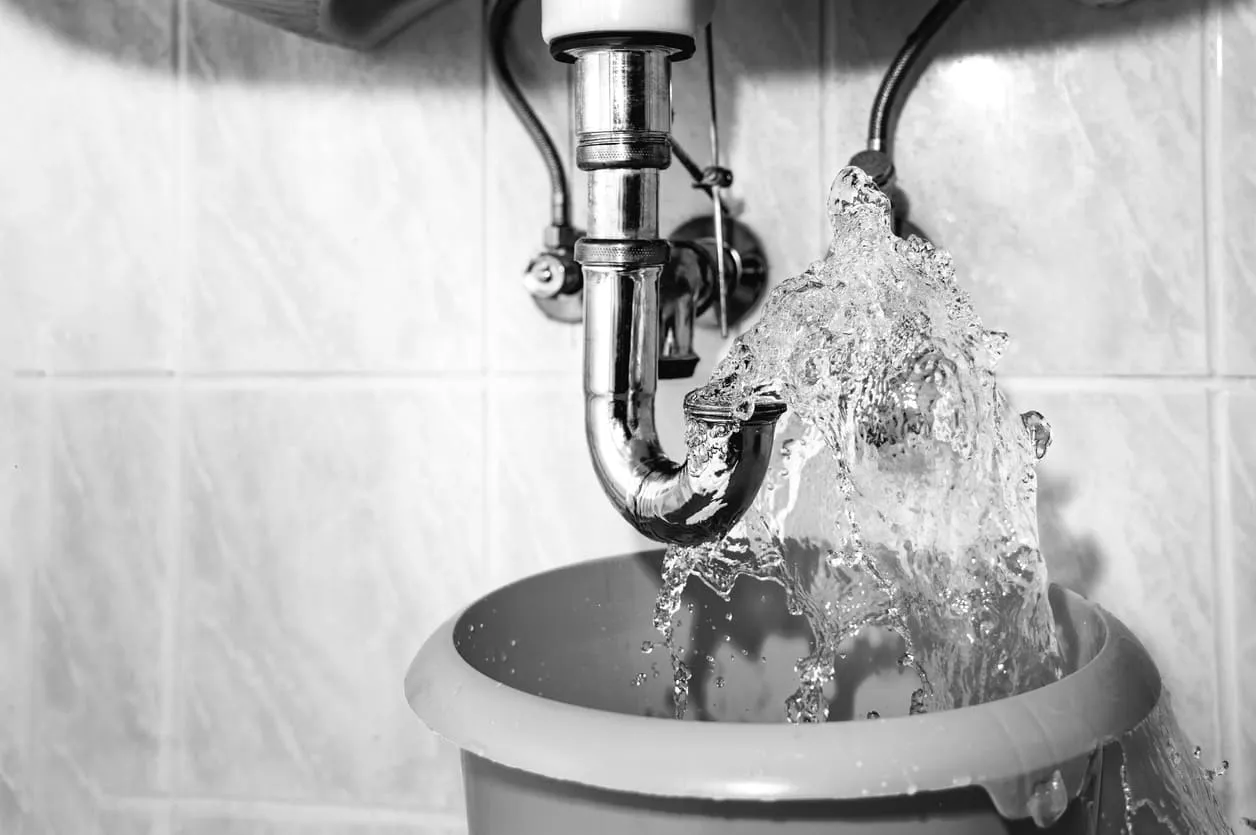 JDN Plumbing & Drain Pros photo 4
