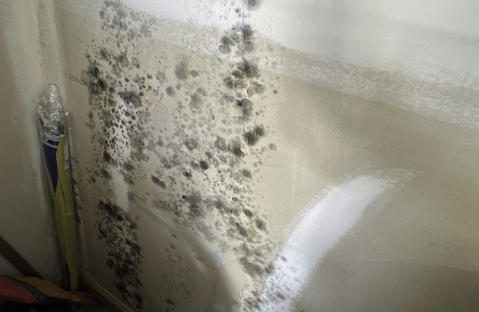 restoration work by Kingsley Water Damage & Fire Cleanup in Columbia, SC (photo 3 of 5)