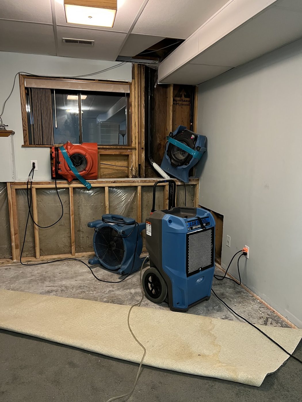 restoration work by MaxCARE of Washington, Inc in Sumner, WA (photo 2 of 5)