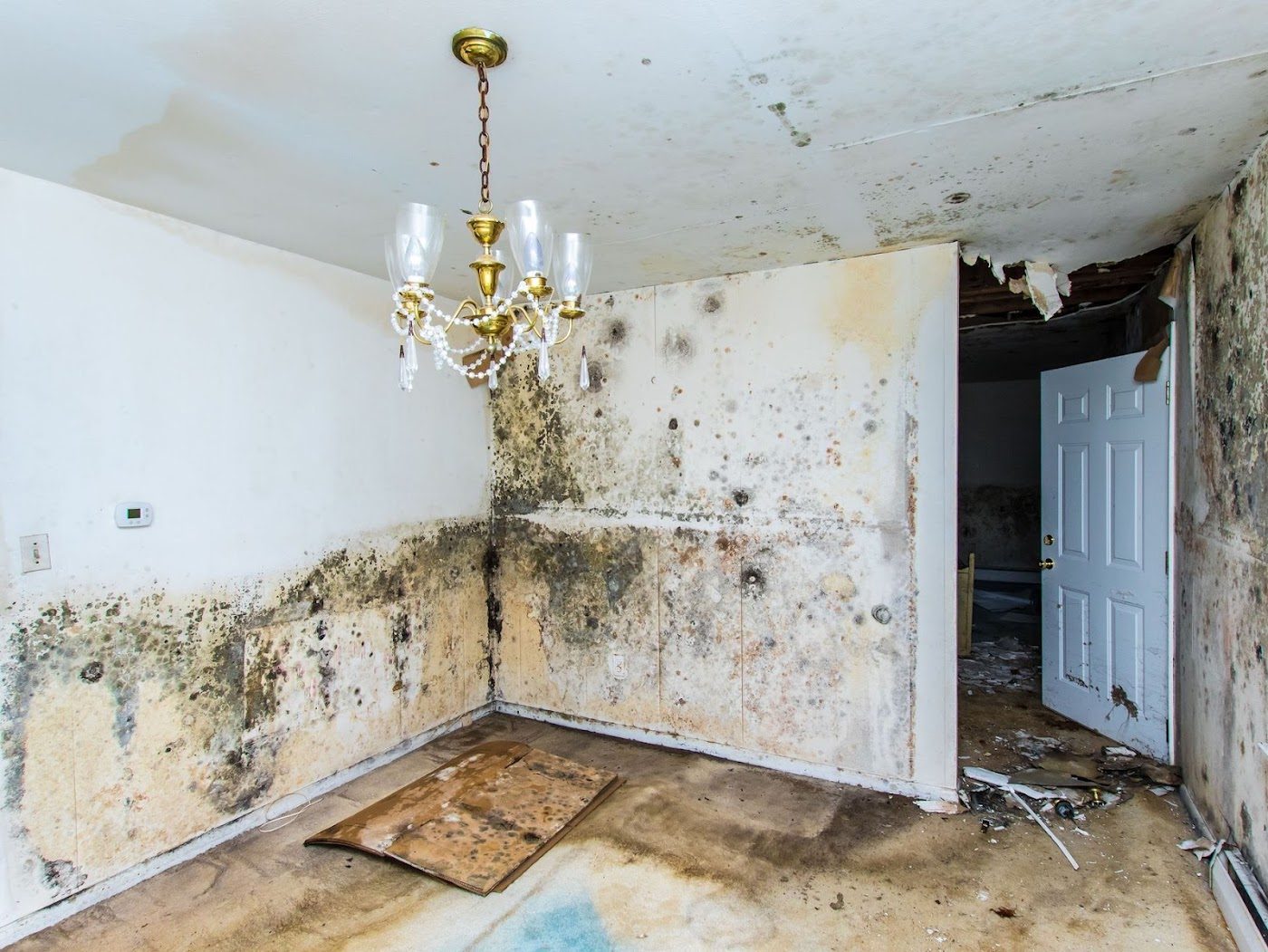 water damage restoration work by Midwest Restoration in Kaukauna, WI (photo 5 of 5)