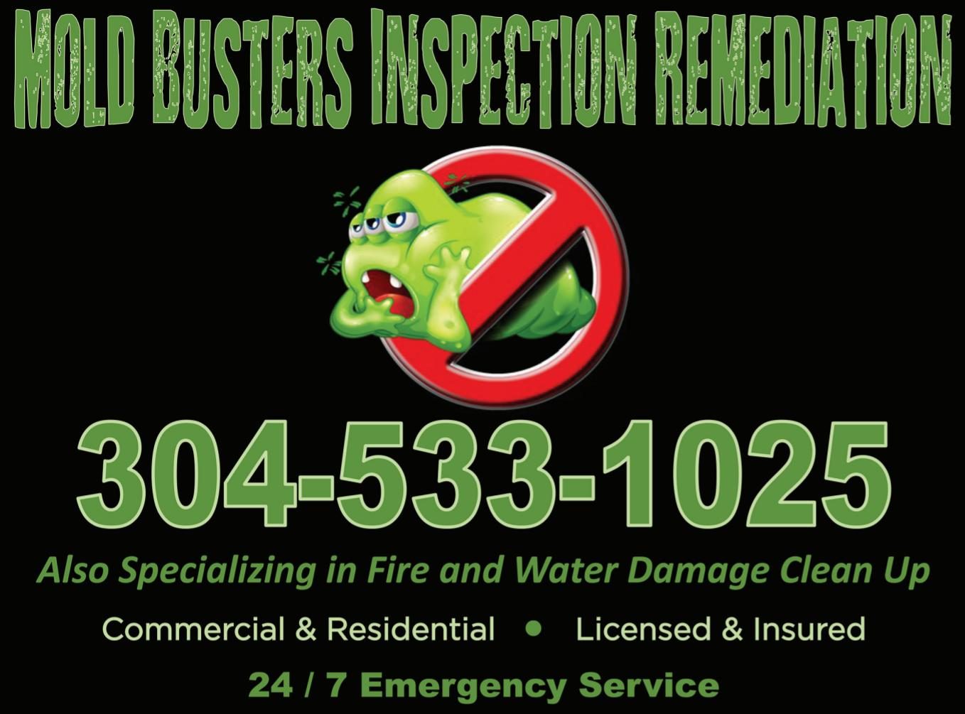 Mold Busters Inspection Remediation — restoration services in Charleston, WV