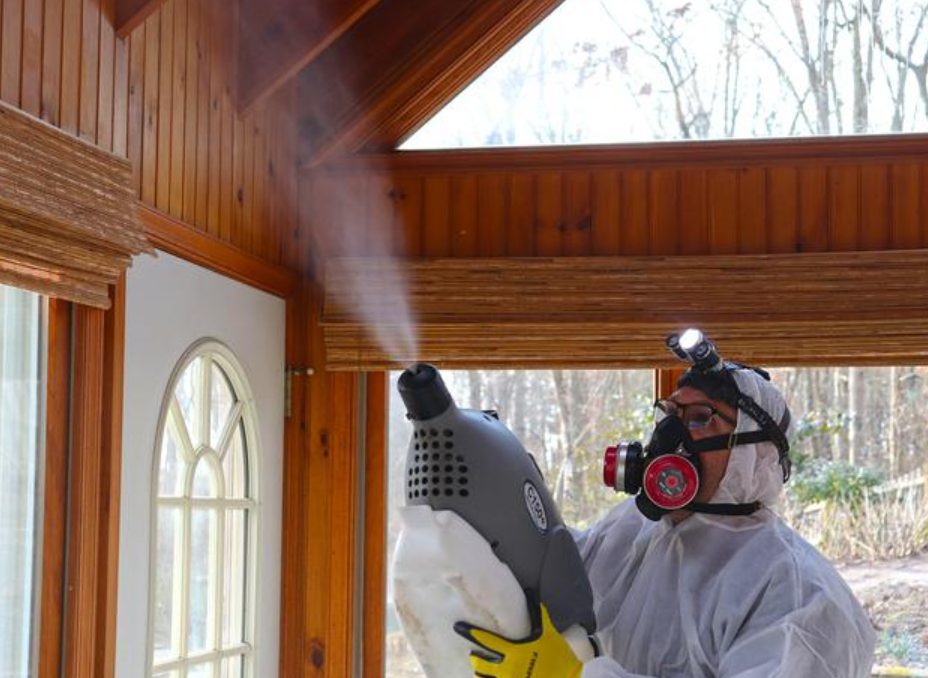 restoration work by Mold Solutions by Cowleys in Farmingdale, NJ (photo 2 of 5)