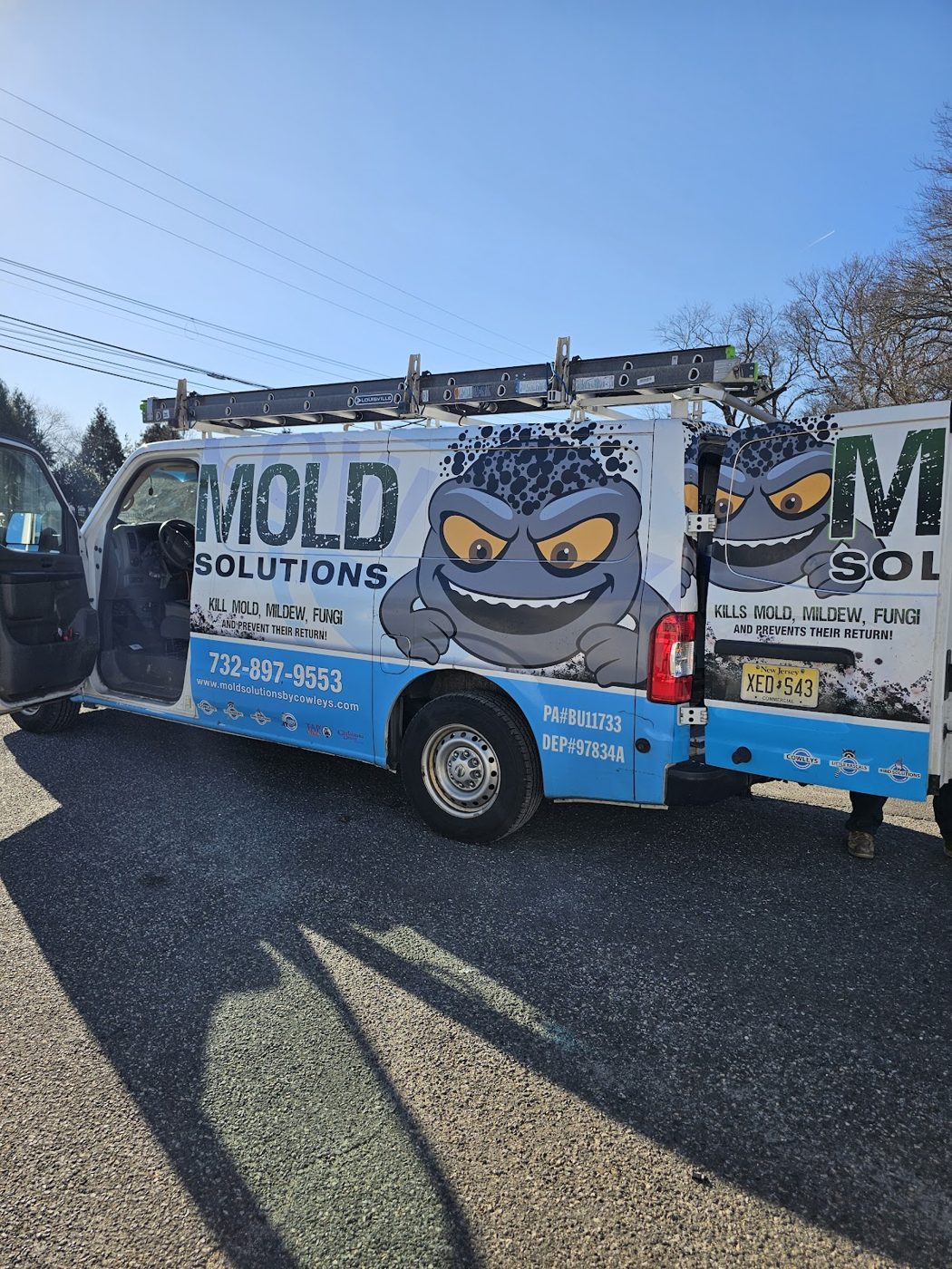 restoration work by Mold Solutions by Cowleys in Farmingdale, NJ (photo 3 of 5)