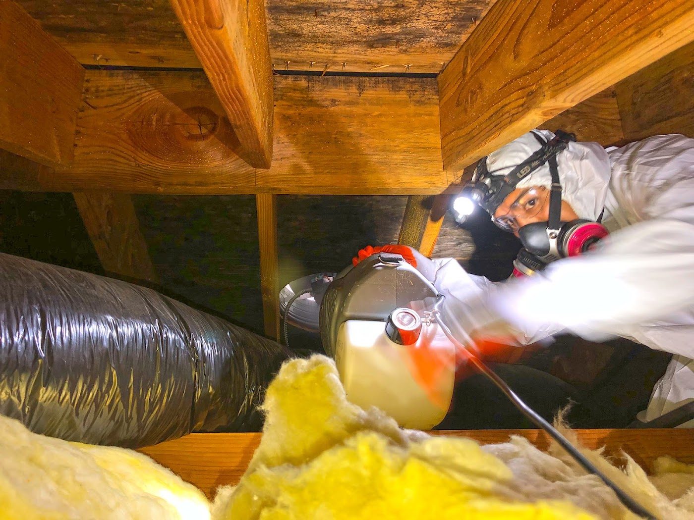 restoration work by Mold Solutions by Cowleys in Farmingdale, NJ (photo 4 of 5)