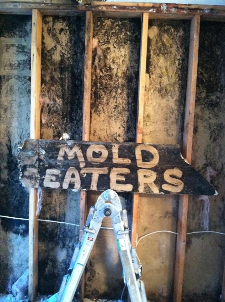MoldEaters — restoration services in Vancouver, WA