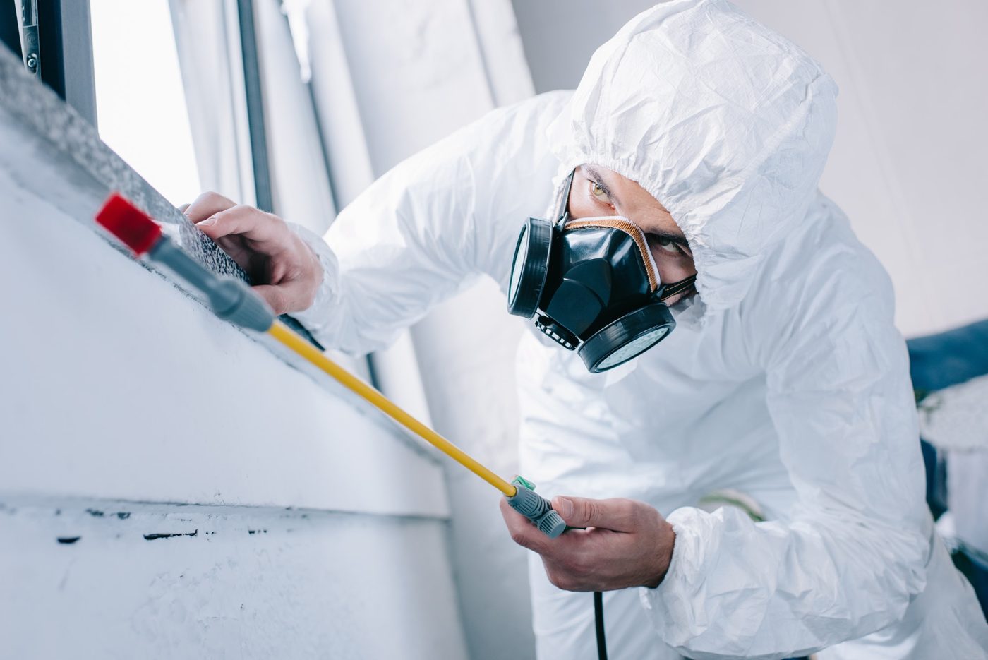 Mr. Mold — restoration services in Highland Township, MI