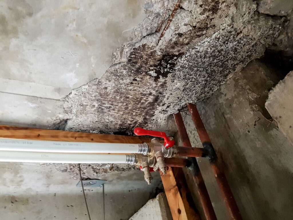 New England Water Remediation photo 4
