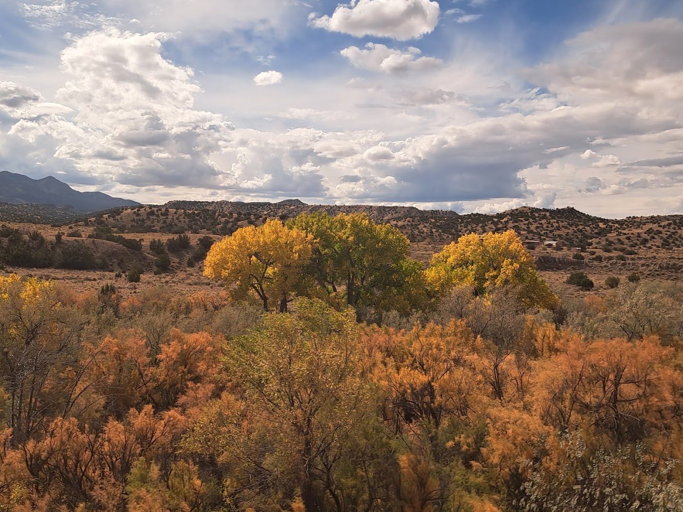 restoration work by New Mexico Restoration LLC in Santa Fe, NM (photo 2 of 5)